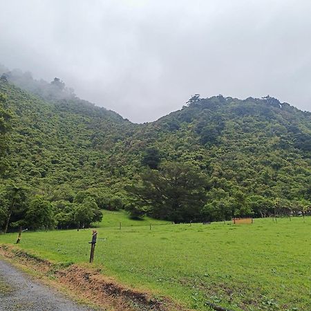 Gumboot Paradise Eco Stay 巴里敦 外观 照片