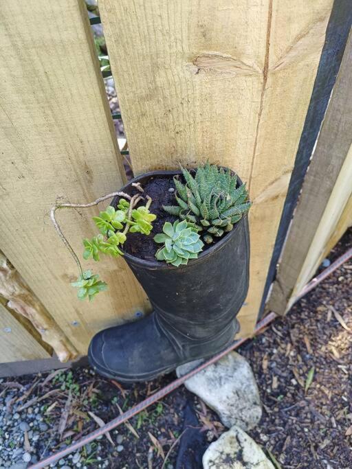 Gumboot Paradise Eco Stay 巴里敦 外观 照片